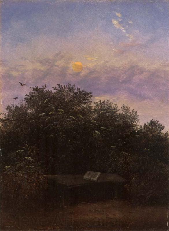 Carl Gustav Carus Blooming Elderberry Hedge in the Moonlight Norge oil painting art